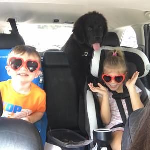 Meet your Posher, Megan